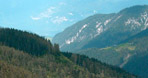 Österreich - Kirchlerhof/Tuxertal
